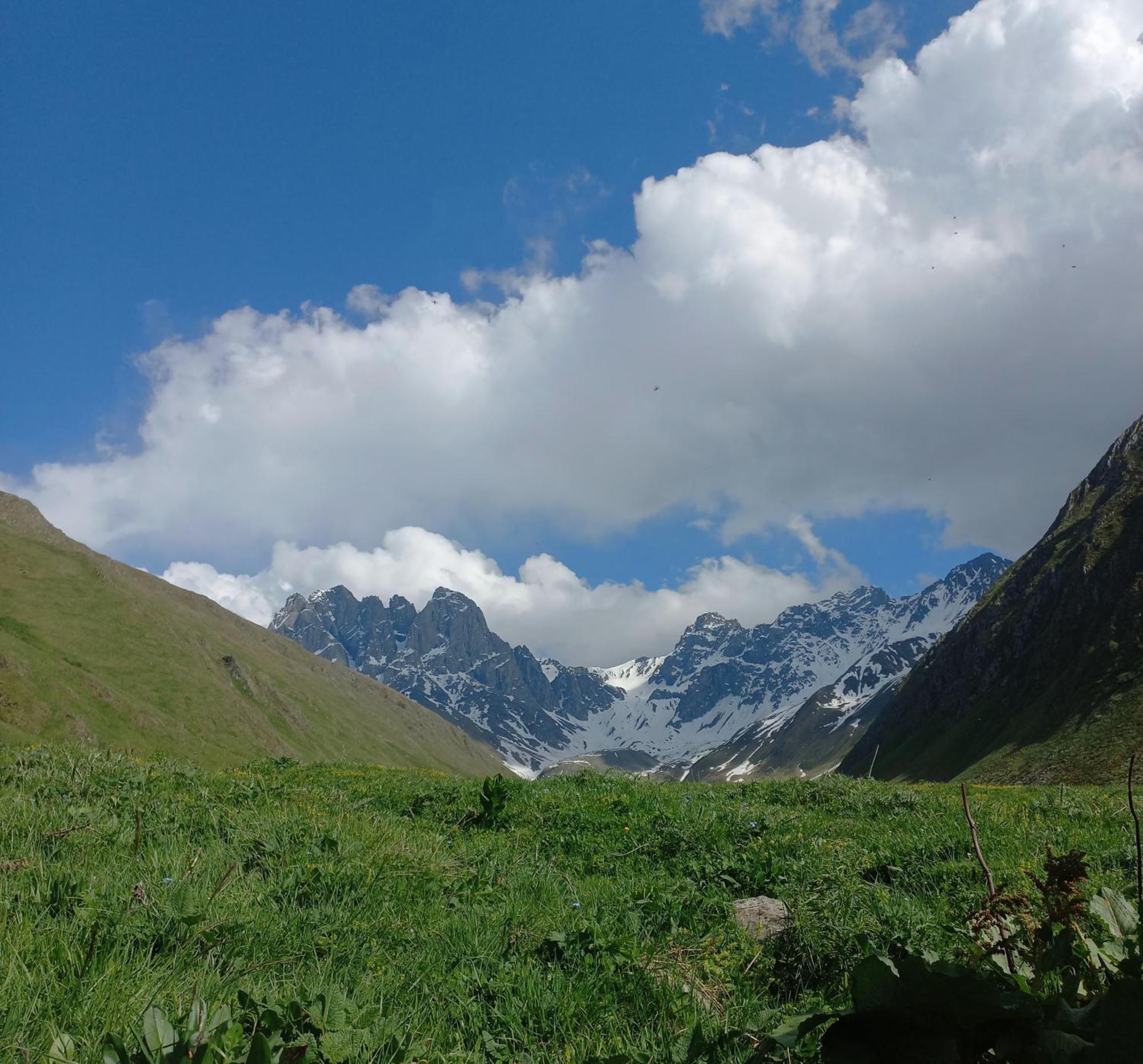 Деревянный коттедж Hillside In